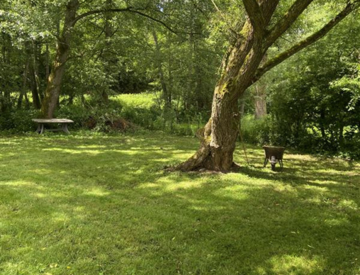 Comment regarnir une pelouse abîmée ?