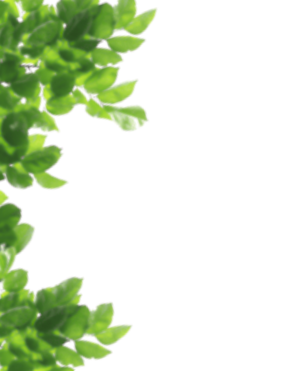 leaf overlay Terraline